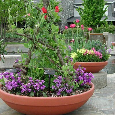 Ebern Designs Lasker Resin Pot Planter In 2021 Planters Garden Beds Cedar Raised - 8×12 Raised Garden Bed With Deer Fence Plans Ebern Designs Lasker Resin Pot Planter In 2021 Planters Garden Beds Cedar Raised - 8×12 Raised Garden Bed With Deer Fence Plans
