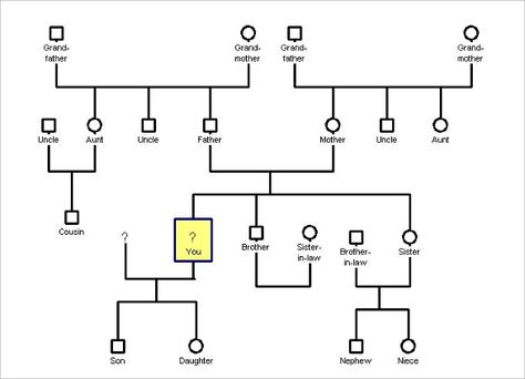 31+ Genogram Templates - Free Word, PDF, PSD Documents Download - ecomap template 31+ Genogram Templates - Free Word, PDF, PSD Documents Download - ecomap template