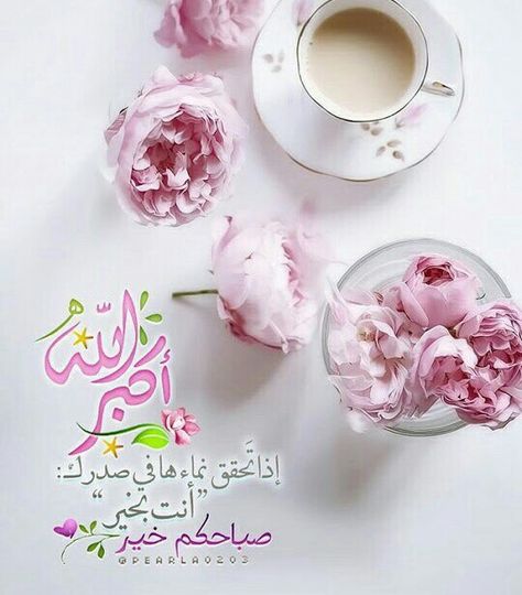 يا قبلة الصباح انطلقي احبتي بانتظارك يا ورود يا ريحان عطري احبابي يا حروف سطري لهم دعاء خير واغاني يا نسيم الصباح اوصل سلام Good Morning Morning Islamic Quotes