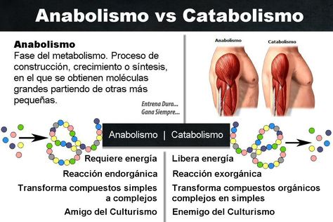 58 Ideas De Biology Biología Bioquímica Biologia Molecular