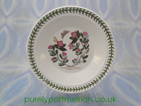 Vintage Portmeirion Botanic Garden 8 5 Inch Soup Plate