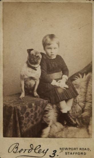Three Vintage Pug Photographs Pugs Cute Pugs Pug Pictures
