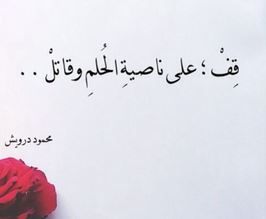 حكم عن الاحلام امثال واقوال عن الحلم Quotes Arabic Calligraphy