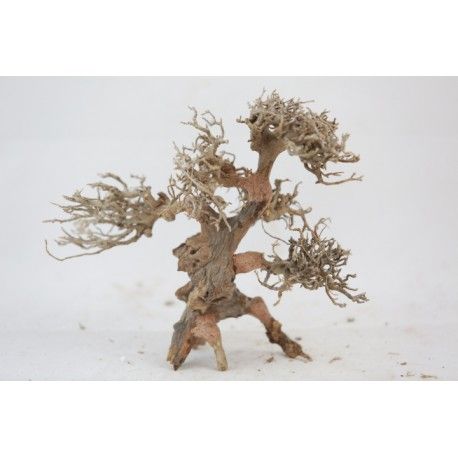 large malaysian aquarium driftwood