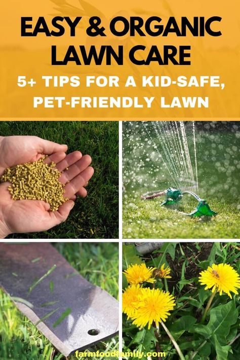 lawn care for beginners organic lawn care easy ideas to keep healthy lush green list of pinterest lawn care for beginners tips ideas lawn care for beginners organic lawn care easy ideas to keep healthy lush green list of pinterest lawn care for beginners tips ideas