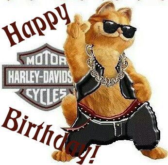 16 Meilleures Idees Sur Bonne Fete Harley Voeux Anniversaire Carte Joyeux Anniversaire Image Anniversaire 16 Meilleures Idees Sur Bonne Fete Harley Voeux Anniversaire Carte Joyeux Anniversaire Image Anniversaire