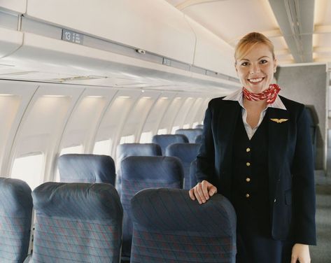 Best 25+ Delta flight attendant salary ideas on Pinterest Flight - canada flight attendant sample resume Best 25+ Delta flight attendant salary ideas on Pinterest Flight - canada flight attendant sample resume