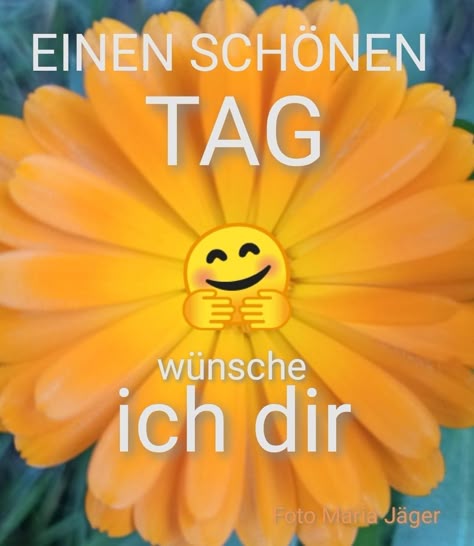 Einen Schönen Tag Bilder