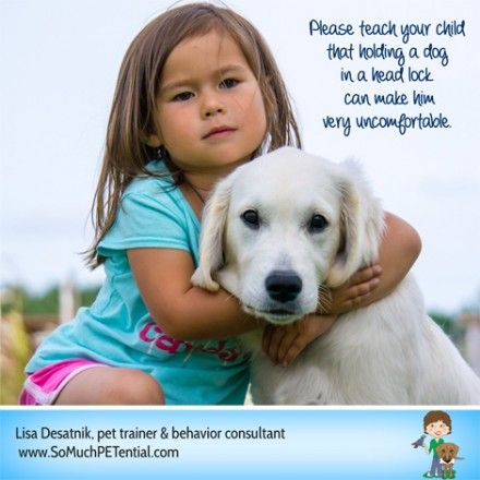 Teach Your Child No Dog Headlocks Dogs Dog Biting Dog