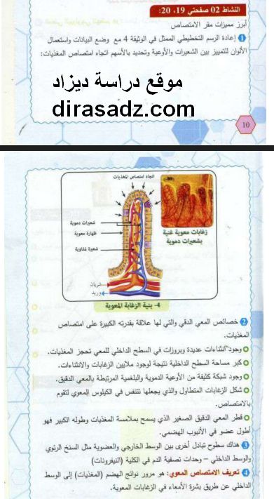 حل النشاط 2 صفحة 19و20 العلوم الطبيعية للسنة 4 متوسط جيل الثاني Bullet Journal Journal