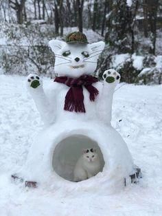 picture Cat Snowman Ideas 57 cat snowmen snow cats ideas cats