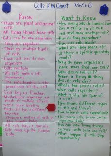 Basic ecology notes ppt worksheet answers