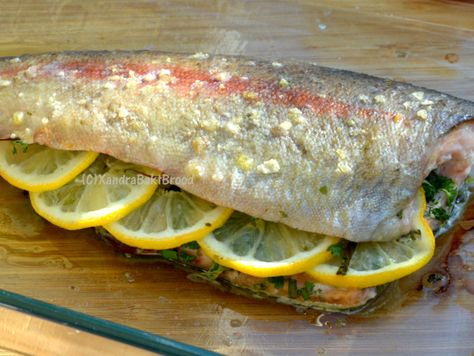 De 50+ beste afbeeldingen van Vis: Forel in 2020 | forel Gegrilde forel ingepakt in pancetta | Gegrilde forel, Forel