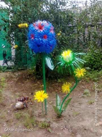 Каллистемон сплетённый — Википедия