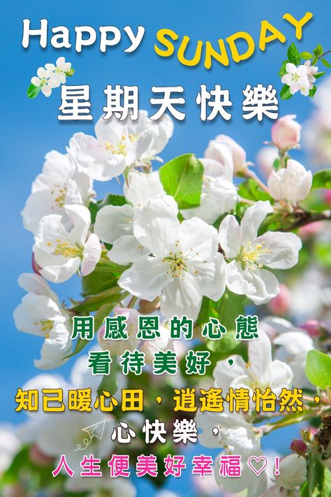 280 Chinese happy sunday ideas in 2021 | happy sunday, happy, sunday