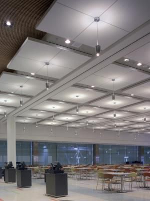 Usg Design Studio Halcyon Climaplus Planks And Large Sizes Iluminación En La Arquitectura Diseño De Techo Paneles Acústicos Usg Design Studio Halcyon Climaplus, Usg Armstrong Ceiling Tiles