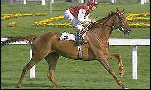 bbc sport other sports top filly oh so sharp dies horses horse racing racehorse