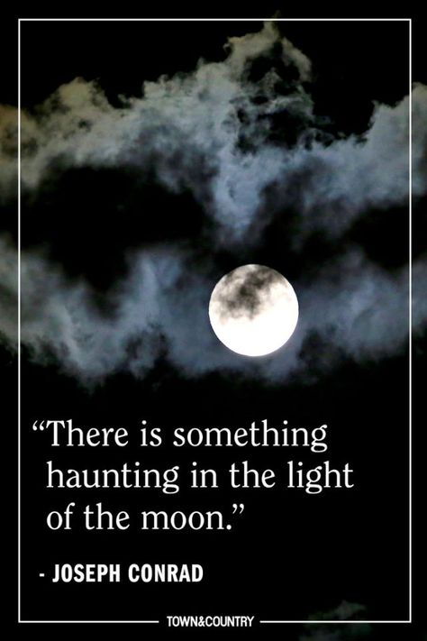 Eerie Quotes That ll Get You In The Halloween Spirit Halloween Quotes eerie-quotes-that-ll-get-you-in-the-halloween-spirit-halloween-quotes