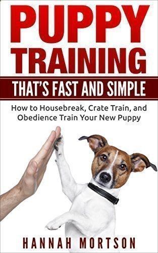 Best Way To Potty Train A Puppy Like A Pro Toby Dog Training