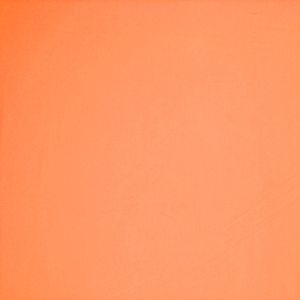 68 Best Pale Orange Images Beautiful Flowers Color