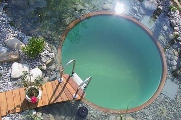 96 Natural And Organic Pools Ideas Natural Swimming Pools Natural Pool Swimming Pools
