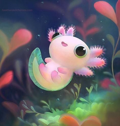 9 Salamander Ideas 9 Salamander Ideas