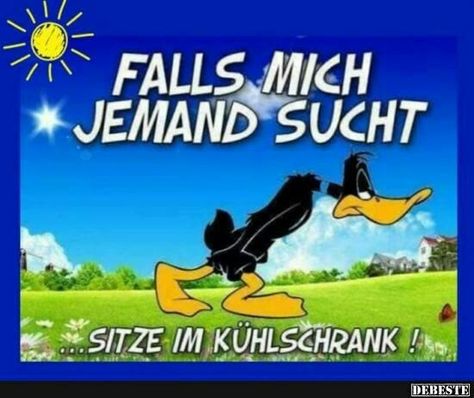 Lustige sprüche sie sucht ihn