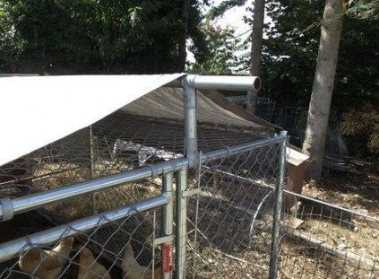 Good Screen Diy Dog Kennel Outdoor Litter Box 33 Ideas Box