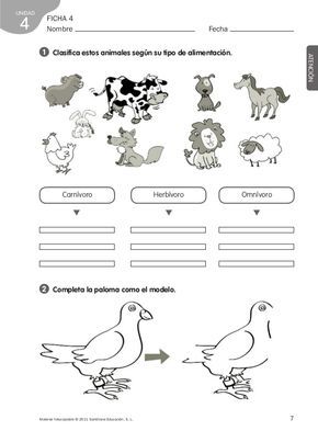 Ficha Animales Herbivoros Carnivoros Y Omnivoros Para Colorear
