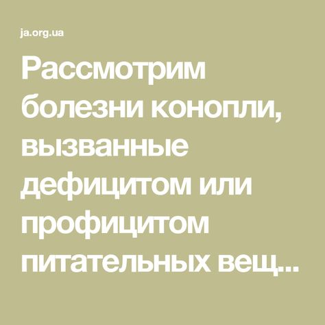 Болезни конопли видео Болезни конопли видео tor browser работа hyrda вход