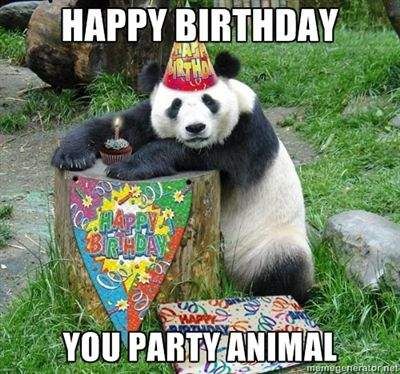 you party animal funny happy birthday meme just sayin 7d504629b27ac1f2322368b1ad1f48aa funny happy birthday meme funny happy birthdays you party animal funny happy birthday meme just sayin,Birthday Meme Animal