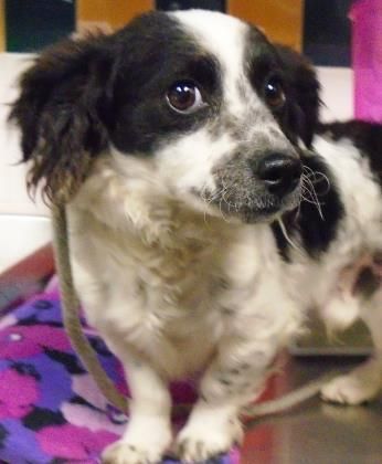 Update Current Status Is Unknown 35065623 Located In El Paso Tx