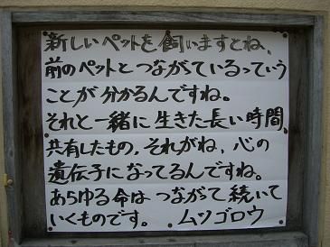 ムツゴロウさんの言葉 ご長寿猫ぴぃとふじももと Happy Days 楽天ブログ 言葉 ムツゴロウ ブログ