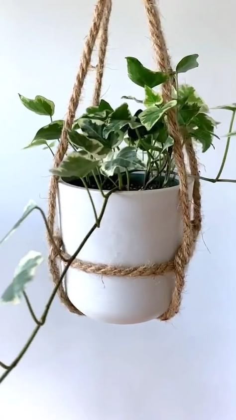 ou can also grow your own indoor edible garden, with herbs such as ... Check out our roundup of the best DIY hanging planter ideas to start #houseplants #plants #plantsofinstagram #plantsmakepeoplehappy #indoorplants #urbanjungle #houseplantclub #houseplantsofinstagram #plant #plantlover Hanging Plants Diy, Plant Decor Indoor, House Plants Decor, Hanging Herb Garden Indoor, Home Plants, Potted Plants, Hanging Plants Indoor Bedroom, Diy Plants Decor, Indoor Plant Hangers