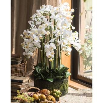 Orchid And Celestite Floral Arrangement In Urn In 2020 Orchid Arrangements Floral Arrangements Orchids