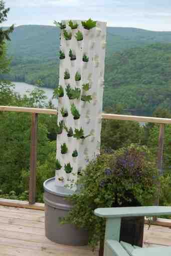 Aquaponics system environmentally friendly Vertical Farming Market Size to Surpass US$ 31.15 Bn by 2030
