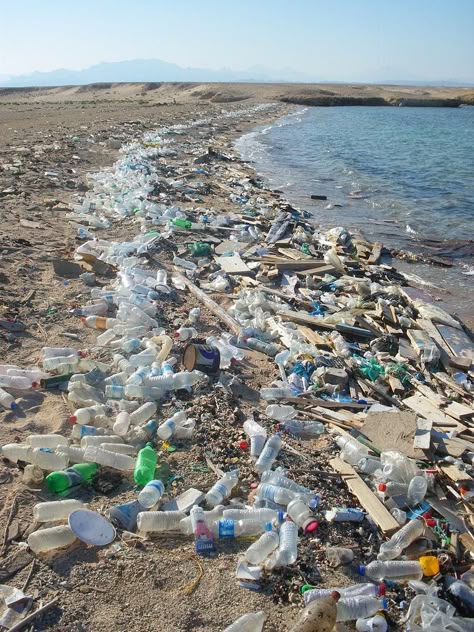 112 Idees De Pollution De L Eau Pollution De L Eau Pollution Protection Environnement 112 Idees De Pollution De L Eau Pollution De L Eau Pollution Protection Environnement