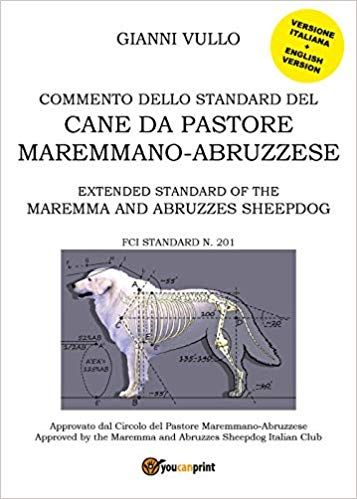 COMMENTARIO BIBLICO DA SCARICA