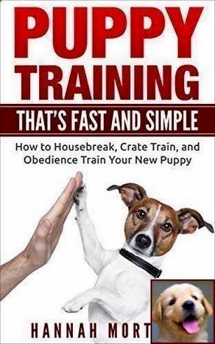 1 Have Dog Behavior Problems Learn About House Training A Puppy