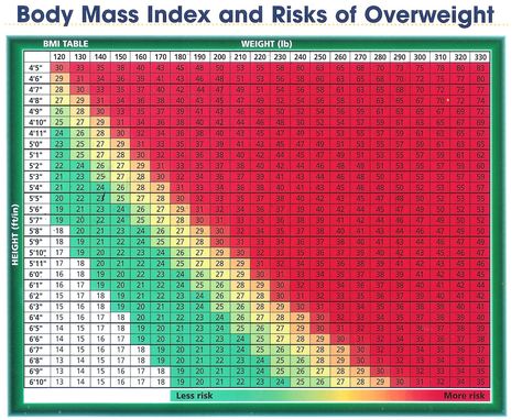 Free Printable BMI Chart Re Body Mass Index (BMI) for USCG - bmi chart template Free Printable BMI Chart Re Body Mass Index (BMI) for USCG - bmi chart template