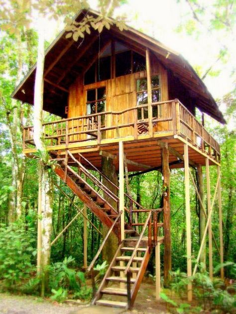 simple kids tree house children's how to create tree house designs and plans for kids easy treehouse ideas for kids list of pinterest gree house simple pictures simple kids tree house children's how to create tree house designs and plans for kids easy treehouse ideas for kids list of pinterest gree house simple pictures