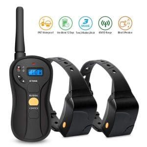 Top 10 Best Dog Training Collars In 2019 Training Collar Pet