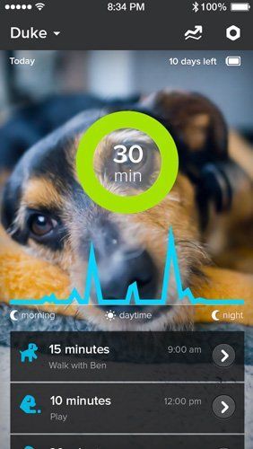 Vetbabble App Launch Vetbabble Pet Health Dog Care Tips Dog Care