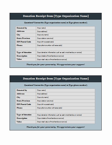 Donation Form Template Word Awesome Donation Form Template Word Templates For Free Download Donation Form Word Form Word Template