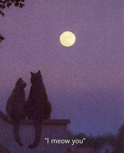 240 Ideas De Gatitos 3 En 2021 Gatos Gatitos Lindos Felinos