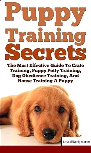 How To Train Your Dog To Stay Away From Your Food And Pics Of How