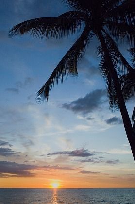 南国の海に沈む夕日のフリー写真素材 無料画像素材のプロ フォト 美しい景色 夏 背景 夕焼け 海 南国の海に沈む夕日のフリー写真素材 無料画像素材のプロ フォト 美しい景色 夏 背景 夕焼け 海