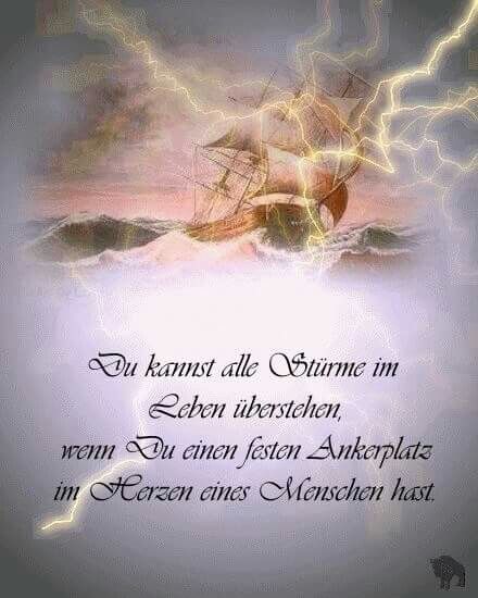Das Glaube Ich Auch Lebensweisheiten Spruche Weisheiten Spruche Spruche Zitate