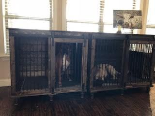Big Pups With Big Personalities Big Kennel To Fit Your