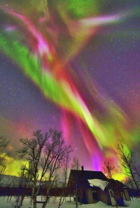 Zoek het Noorderlicht - Fins Lapland (Doen!) - Finland - new blueprint alberta northern lights Zoek het Noorderlicht - Fins Lapland (Doen!) - Finland - new blueprint alberta northern lights
